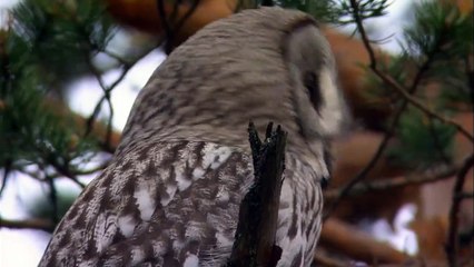 Wilder Norden Staffel 1 Folge 3 HD Deutsch