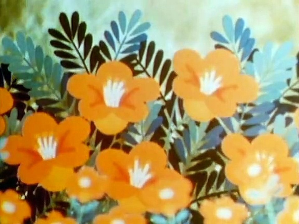 Tao Tao - Tiergeschichten aus aller Welt Staffel 1 Folge 16 HD Deutsch