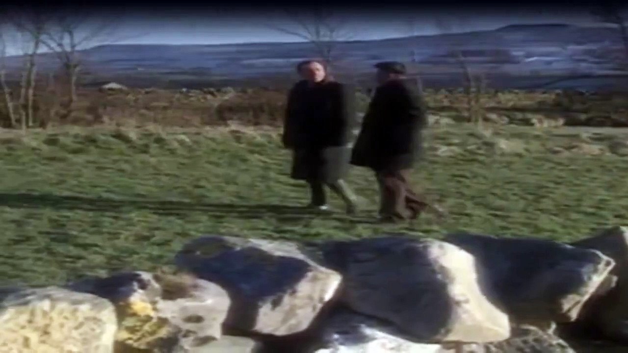 Der Doktor Und Das Liebe Vieh Staffel 6 Folge 2 HD Deutsch