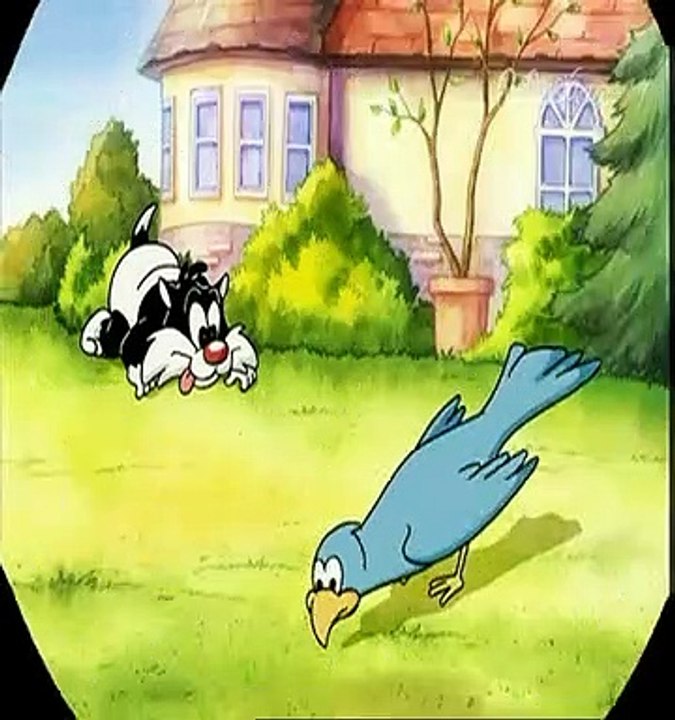 Baby Looney Tunes Staffel 1 Folge 4 HD Deutsch