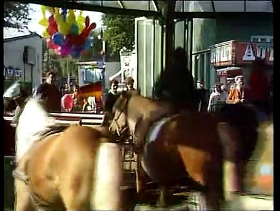 Ein echter Wiener geht nicht unter Staffel 1 Folge 24 HD Deutsch