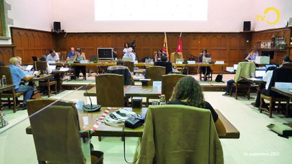 Sujet: démission en chaîne au Conseil municipal