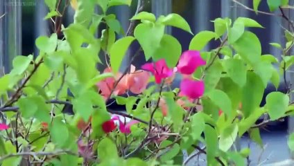 Love Sick S2 - Love Sick: the S S2 - Love Sick 2 - E23