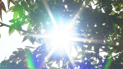 [날씨] 오늘 내륙 때 늦은 더위, 서울 30℃...해안가 강풍 유의 / YTN