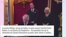 Charles III et Camilla : Un couple Scorpion-Cancer émotif et (très) physique, leurs signes ont parlé