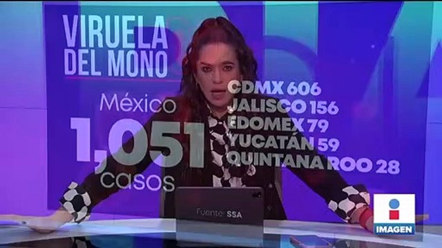 Las arañas podrían soñar