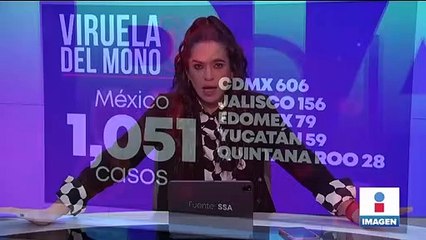 Las arañas podrían soñar