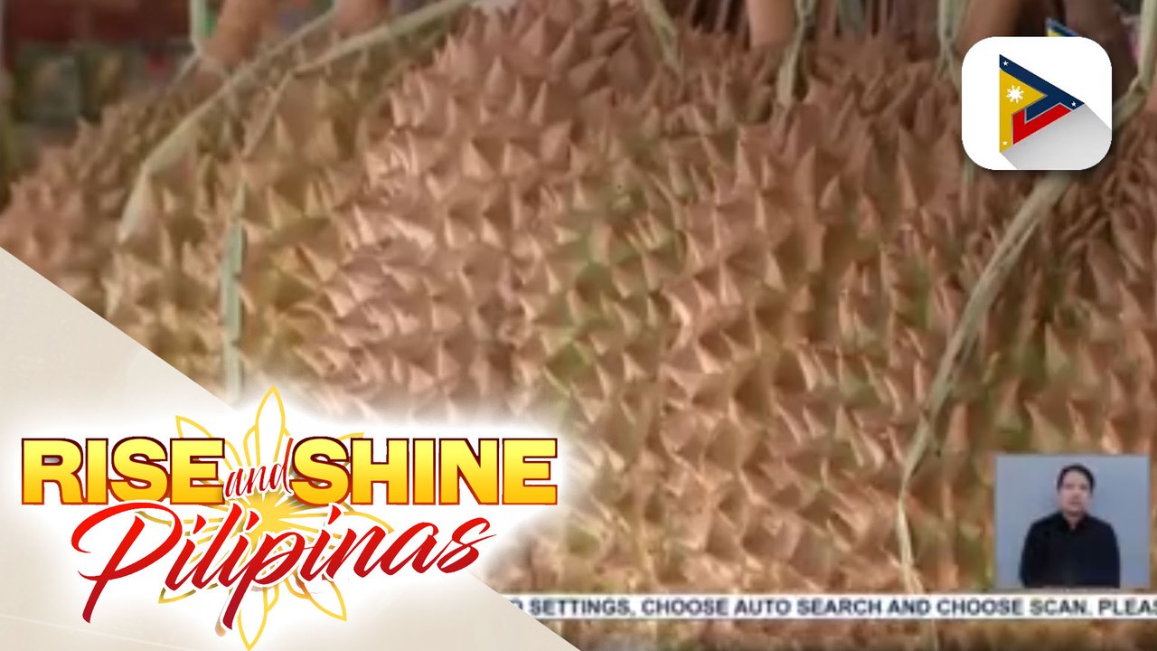 Durian mula Davao City, pang-export na; Mga taga-Davao City, ikinatuwa ang planong pag-import ng China ng durian