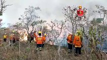 Bombeiros do DF combatem novo incêndio no Parque Nacional de Brasília