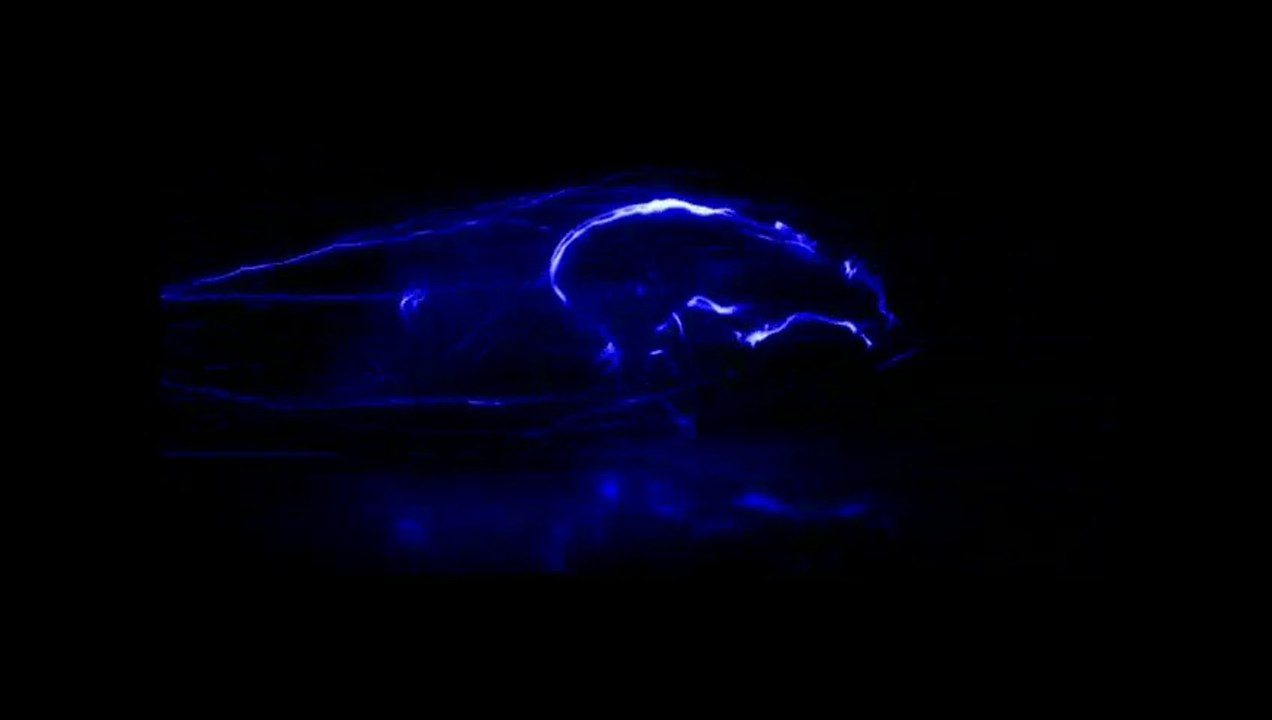 VidIQ Kaise Use Kare __ Vidiq Full Tutorial In Hindi_ How To Do Keyword Research For YouTube video _