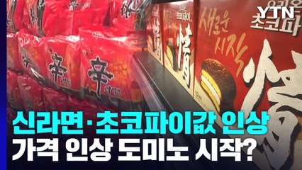 신라면·초코파이값 올랐다...가격 인상 도미노 시작? / YTN