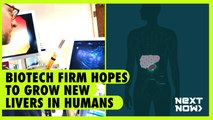 Biotech firm hopes to grow new livers in humans | Next Now