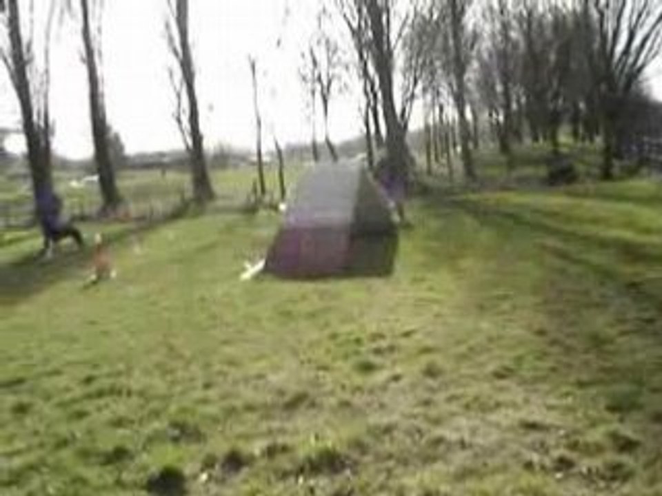 MOV00026