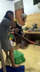 Una rata fue capturada debajo de la cesta por pura suerte