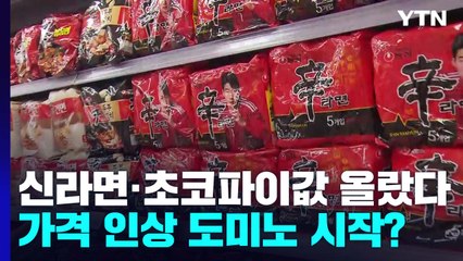 신라면·초코파이값 올랐다...가격 인상 도미노 시작? / YTN