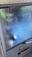 Clancy Asks to Be Let In