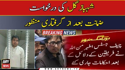 Shahbaz Gill's bail application approved
