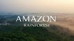 Amazon Rainforest 4k | The World’s Largest Tropical Rainforest | Amazon Rainforest Stock Footage