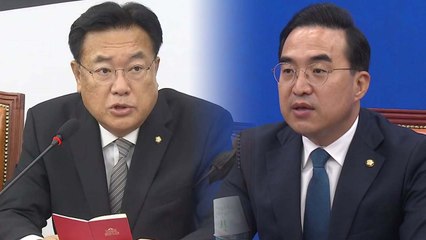 [더뉴스] 국민의힘 '원내대표 추대' 무산?...野, 경제·외교정책 맹공 / YTN