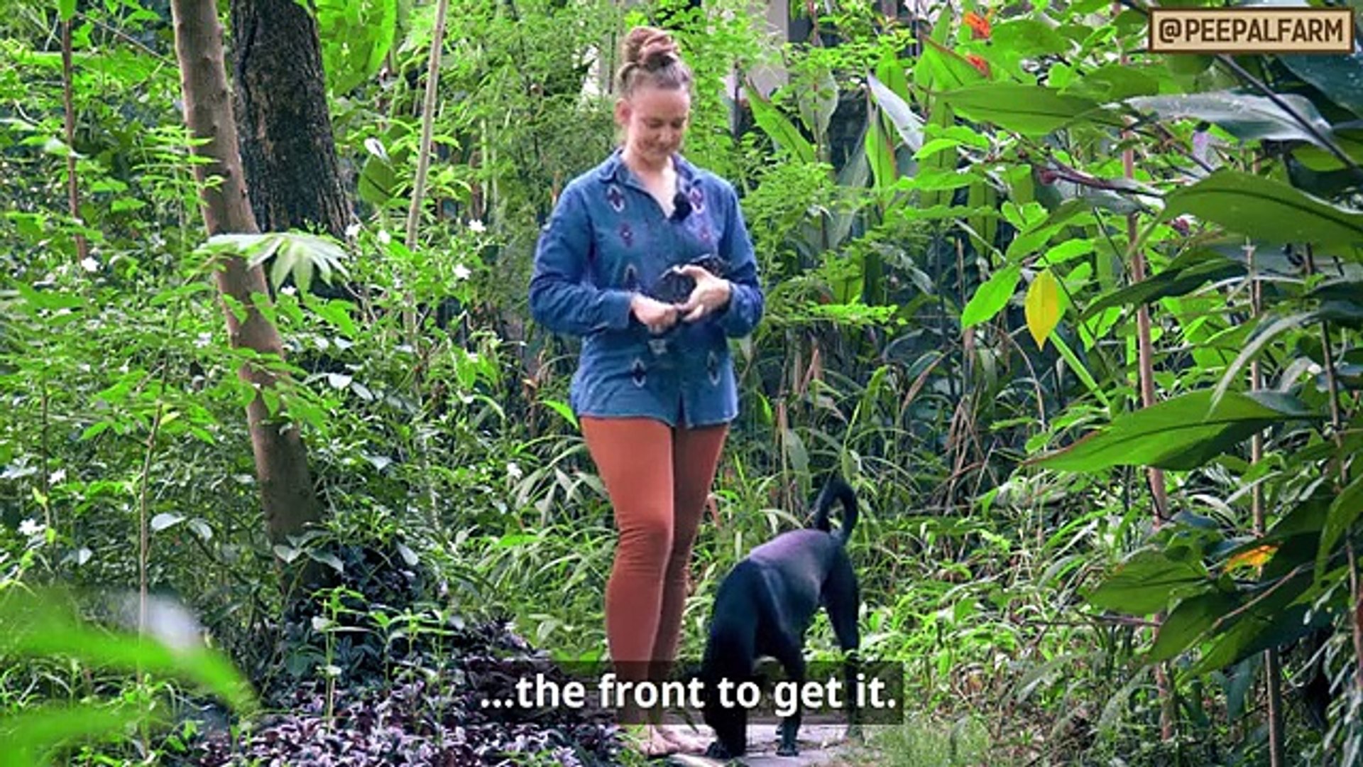 ⁣Beautiful dog training Muzzle training | Dog training