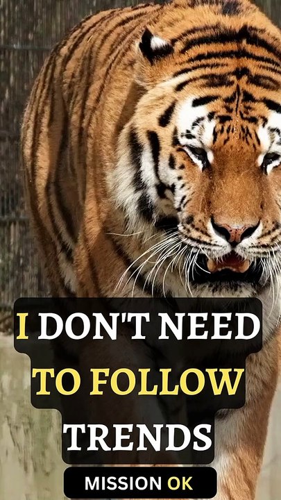 The Trend - Sigma rule | WhatsApp status | #attitudestatus #shorts #quotes #attitude