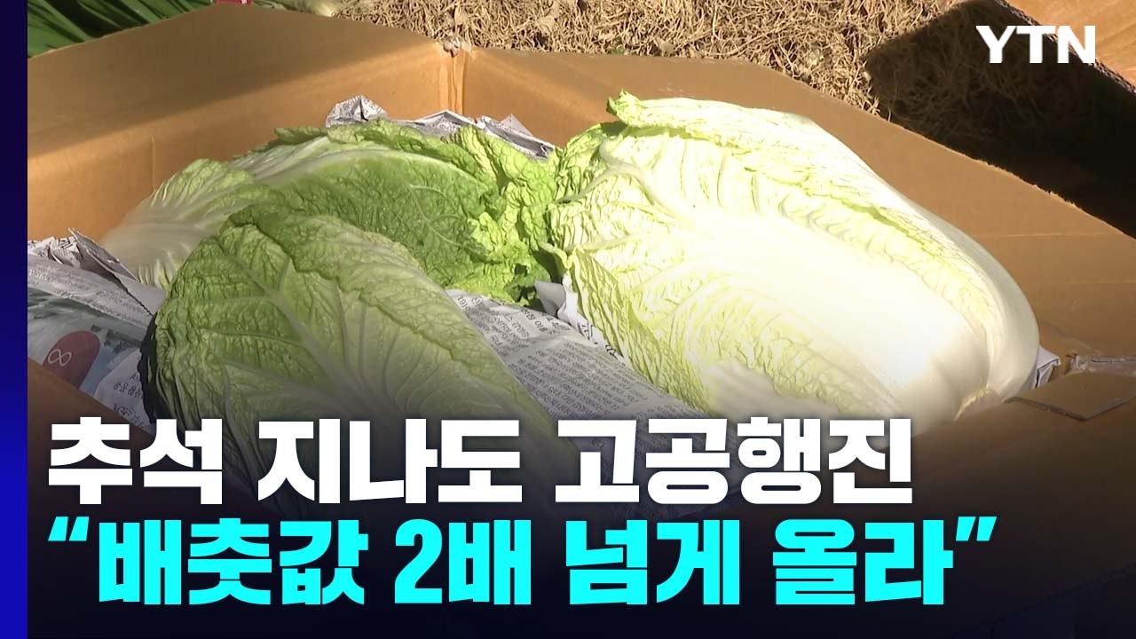 "손님 떠날까봐 걱정"...채솟값 고공행진에 상인도 소비자도 '울상' / YTN