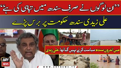 "Inn logon nay Sindh mei sirf tabahi ki hai", Ali Zaidi ki Sindh Hakumat pay Tanqeed