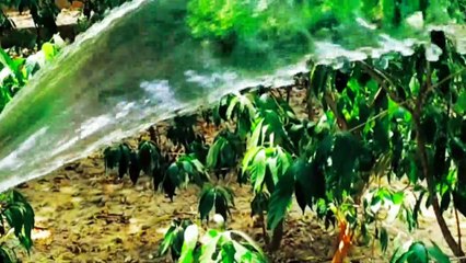 My first vlog #bablu banna