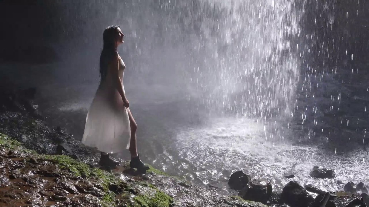 Spring Routines- Life in a Hidden Rainforest