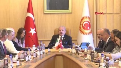 Şentop, İrlanda Parlamentosu Dışişleri ve Savunma Ortak Komitesi Başkanı Flanagan'ı kabul etti