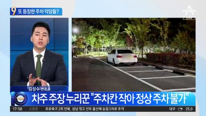 ‘가로 주차’ 참교육했더니…또 등장한 주차 악당들?