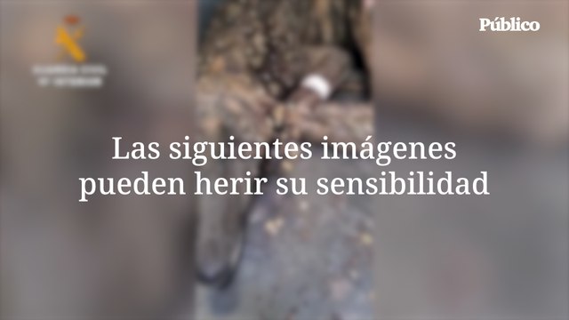 Denunciado por maltrato un refugio de animales abandonados en Almería
