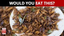 Crickets: Thailand's staple food tastes like meat because of these reasons