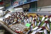 Balık bollaşınca fiyatlar 50 TL'ye geriledi