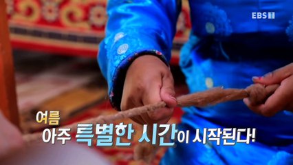 세계테마기행 - Themes Around the World_여름엔 몽골이지- 낙타의 시간_#001