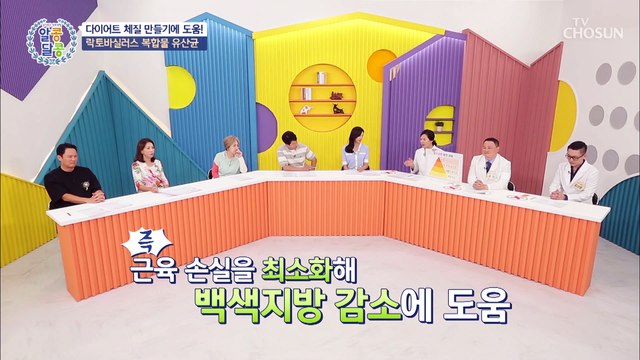 나잇살 타파! 장 건강에 도움 주는 락토바실러스 유산균 TV CHOSUN 20220915 방송