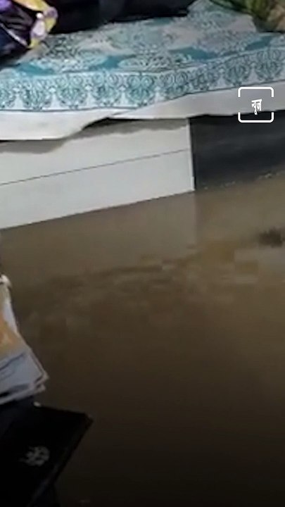 Watch: Homes Flooded And Vehicles Submerged Due To Heavy Rain Hits Pune City