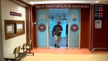 İstanbul'da sivrisinek kabusu: Vatandaşlar hastanelere akın etti