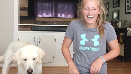 6 y/o labrador LOVES it when his owner plays piano