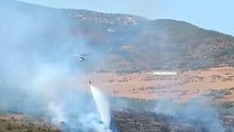 Son dakika haberleri | Foça'da makilikte çıkan yangına müdahale ediliyor