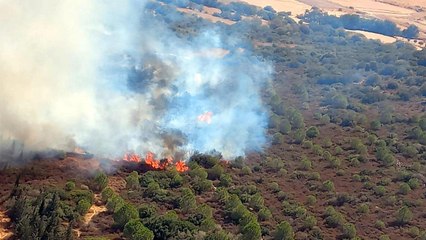 Descargar video: İzmir’de makilikte çıkan yangın ormana da sıçradı