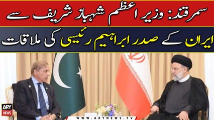 PM Shehbaz Sharif meets Iran's President Ebrahim Raisi