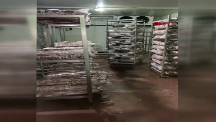 Kokoreç imalathanesinde mide bulandıran iğrenç görüntüler