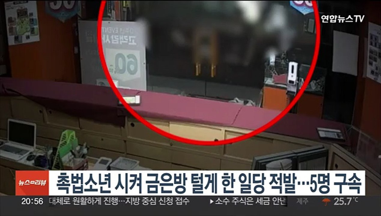 촉법소년 시켜 금은방 털게 한 일당 적발…5명 구속