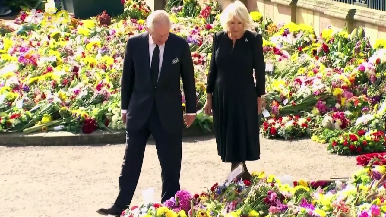 Is Queen Consort Camilla Out of Her Comfort Zone?