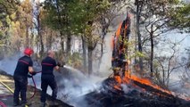 Incendie en France : le feu près de Saumos en Gironde 