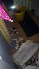 Rebecca Wallis' ceiling fell in at 3am due to a longstanding leak from the wet room above, which she first reported three-and-a-half years ago.