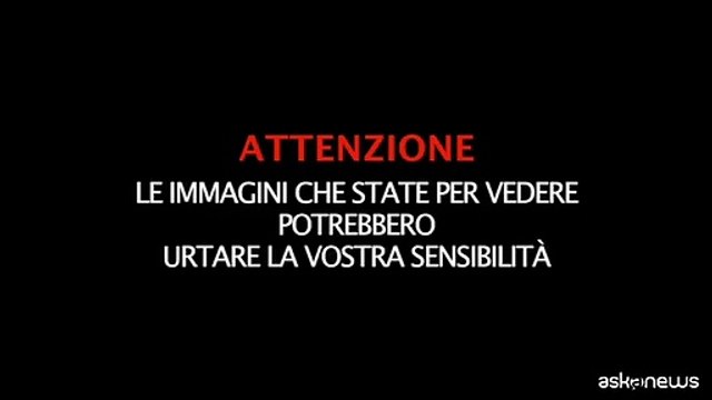 Guardia reale sviene davanti alla bara della regina Elisabetta
