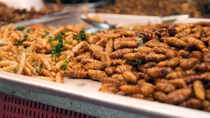 Los grillos ganan adeptos como alimento saludable y sostenible en Tailandia