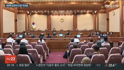 국보법 위헌성 첫 공개변론…"양심 자유 VS 안보"